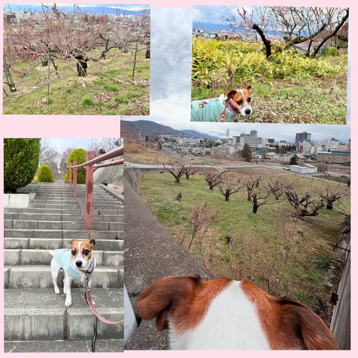 72314c71 6ac5 441b 80c1 0c66822dc742 1774525414575