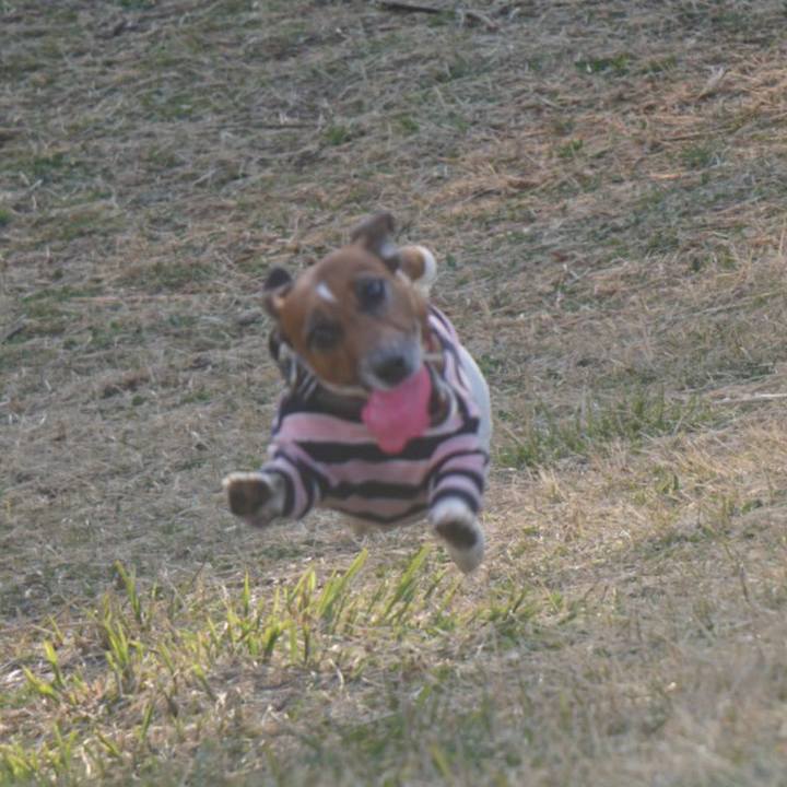 72319d94 c52a 456c afc0 422c64590bc5 1585262882982