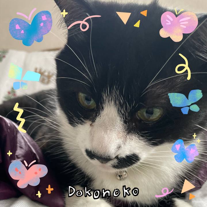 7231a95e db89 42b1 8593 e1168f9c3290 1711263675458