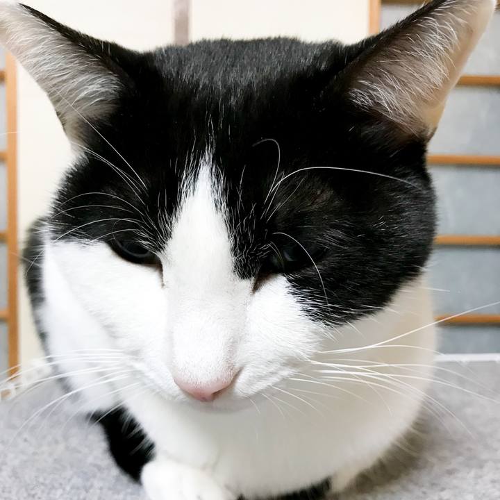 7231bfa6 2c6c 4422 8ff2 c65747874a96 1513349046443