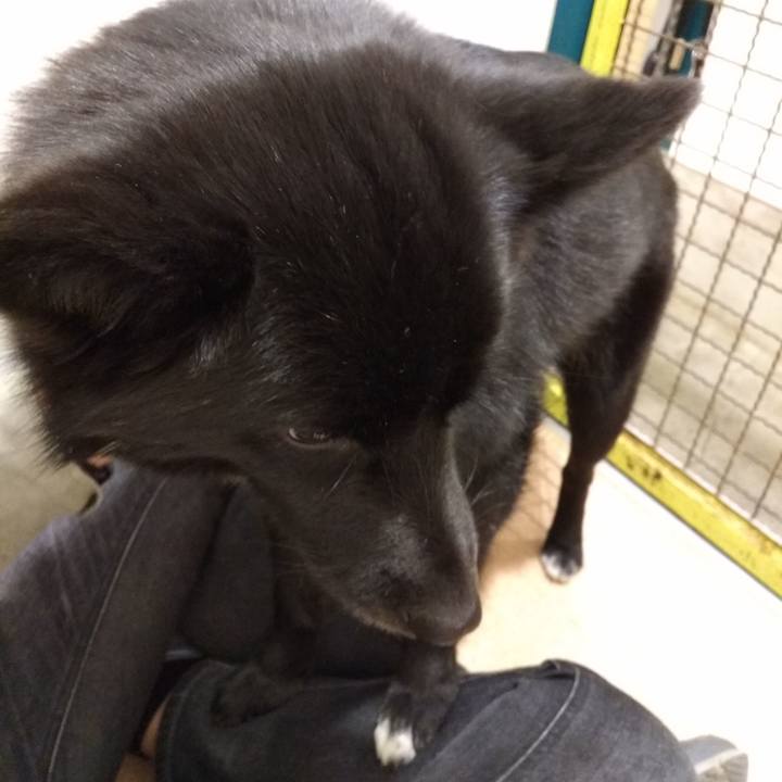 7231e797 cf36 4f76 a211 035fa7364803 1549160344133