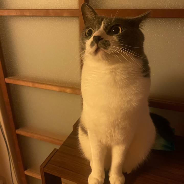 7231f1d9 c7a6 4a64 91a3 c02a55216484 1752760133706