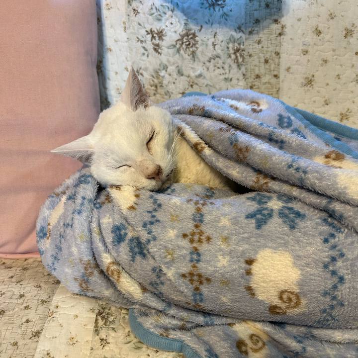 7231f341 0364 4b55 bdc4 df260f70398d 1703542840694