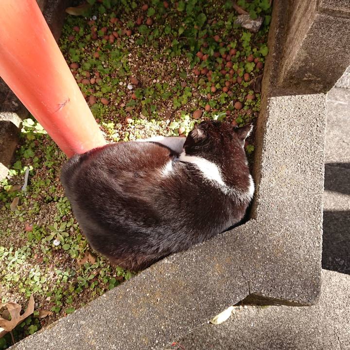 72320113 9aa1 4d97 91c5 24ed0b3e14c6 1611039720984