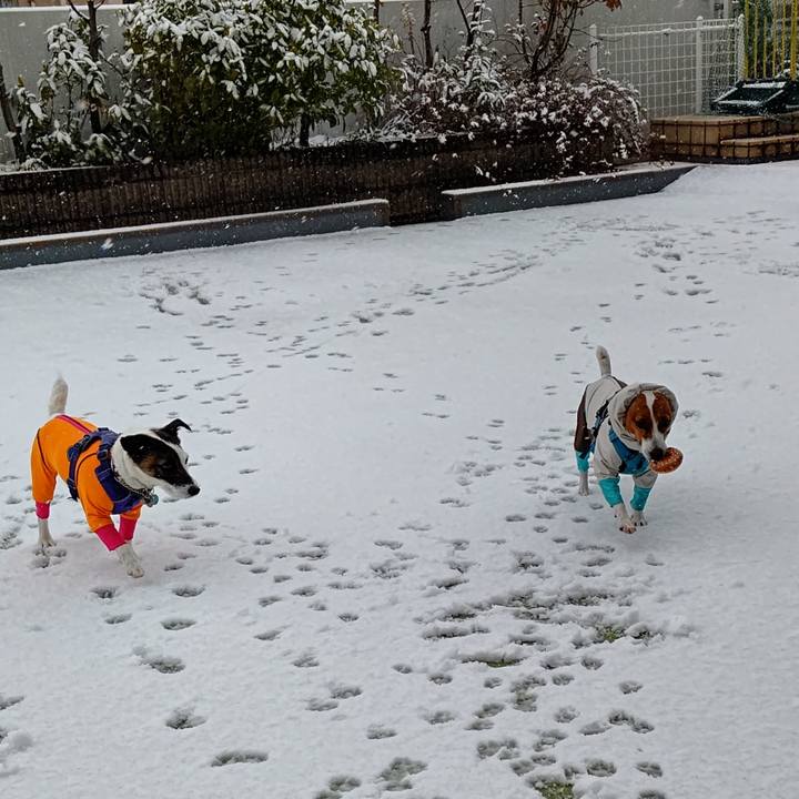 72320298 d46b 4ddd 87e8 d1304cd64e1b 1676004325940