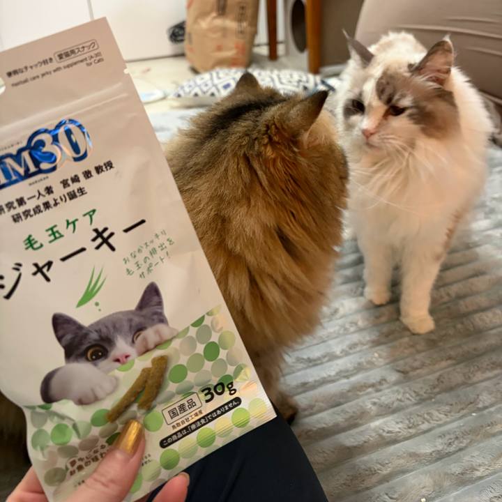 72321682 2588 41be acc1 03ab8e0322da 1766213303107