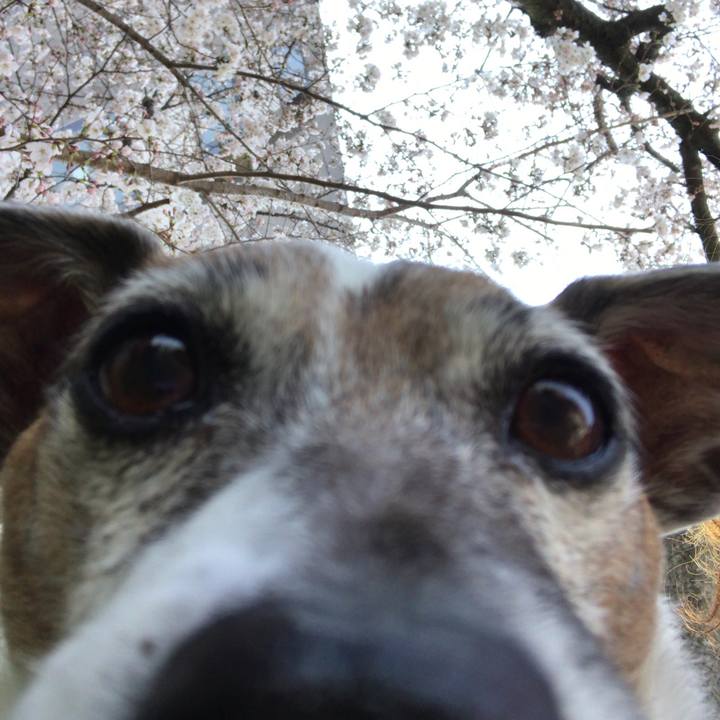 7232181e c7e2 42b2 af3e e3fe6be2fd40 1522120273934