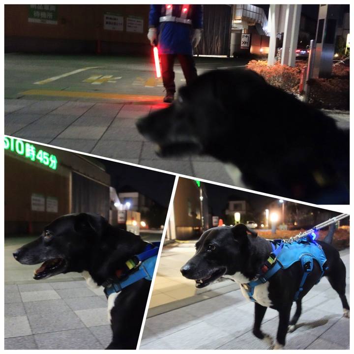 72322e65 ea45 4206 b4a0 85c98446ab8c 1678360309840