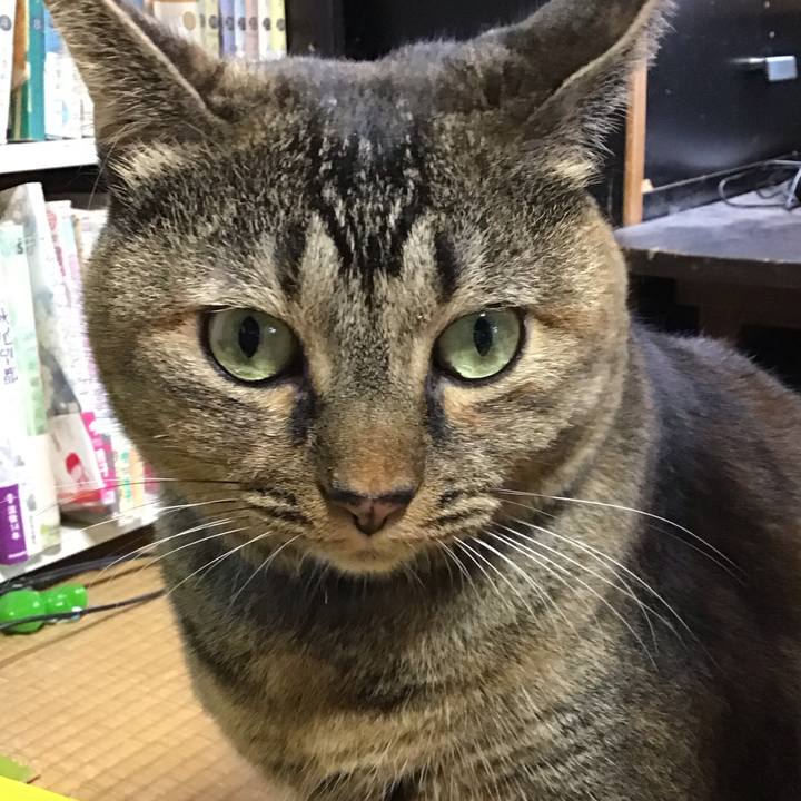 72323201 e73c 4138 9c63 518104d91255 1760165548319