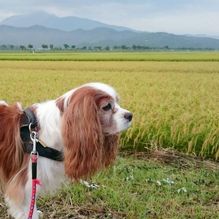 72324c14 4c49 433f 9f2f e09d95fb8a7a 1566681822440