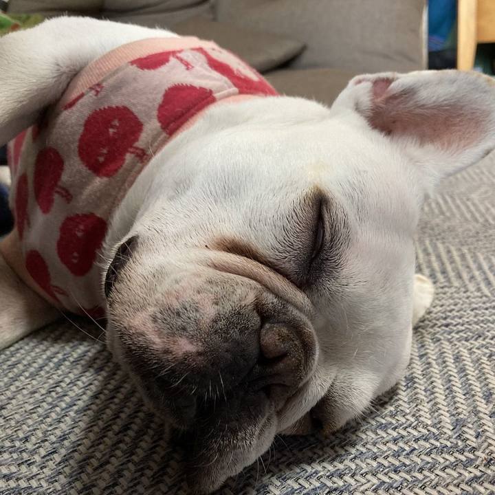 72325bad 2536 480f a7b5 722a6f04cd24 1713946522143