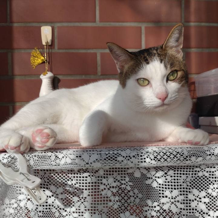 72328a26 fa35 46bc 9f8c b1a84de69521 1758437230009