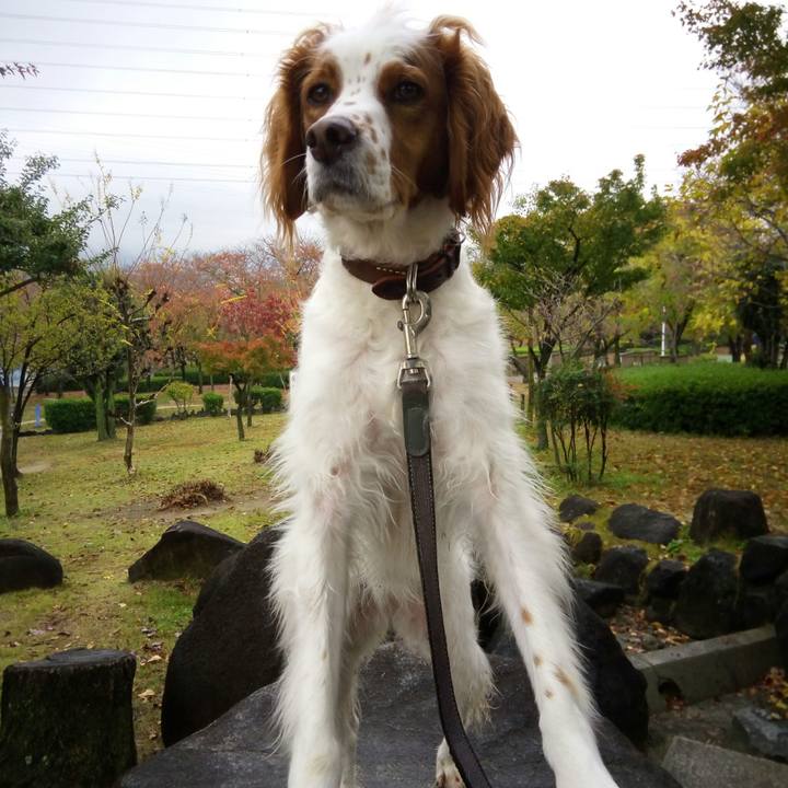 7232cbe1 b5c1 420b a7bd aad6f62253ef 1510990516634