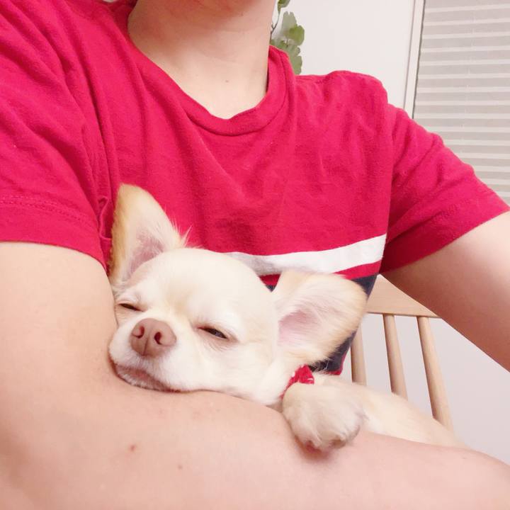 7232e7ad 98c2 46c6 8ad1 8875f7bac2b9 1685627785109