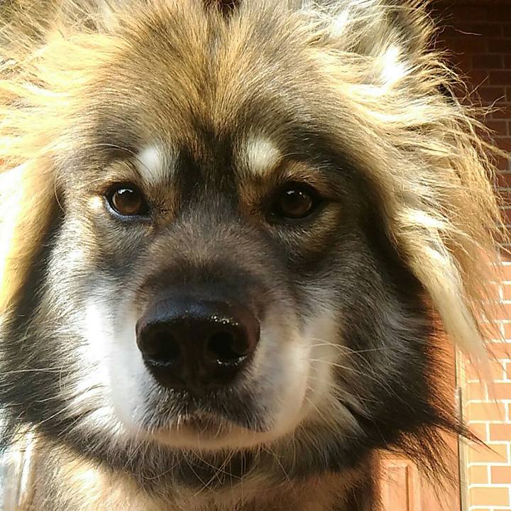 7232f421 8f56 4896 a4eb b36a63e7dcd3 1516524668758