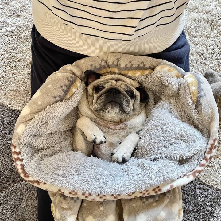 72331236 ab91 4f93 b06b f65a13bffd2b 1766479072550