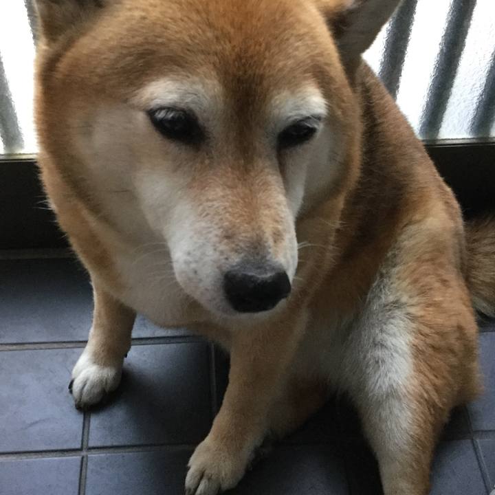 72331f3e f63d 4006 beef 497f7857abee 1623491370242