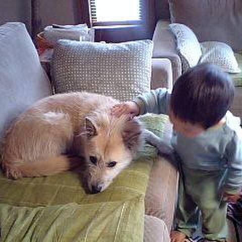 7233254c 43a7 4fbe b54b 2bacdfc5c665 1614216062510