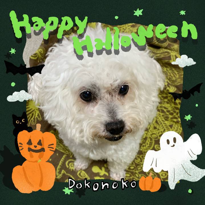 7233674b c38b 4fd7 ab54 404034cc3d16 1729381097246