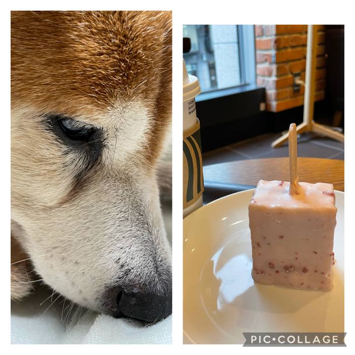 72336dc4 d074 46ef 9830 d7020d701ca1 1630717053148