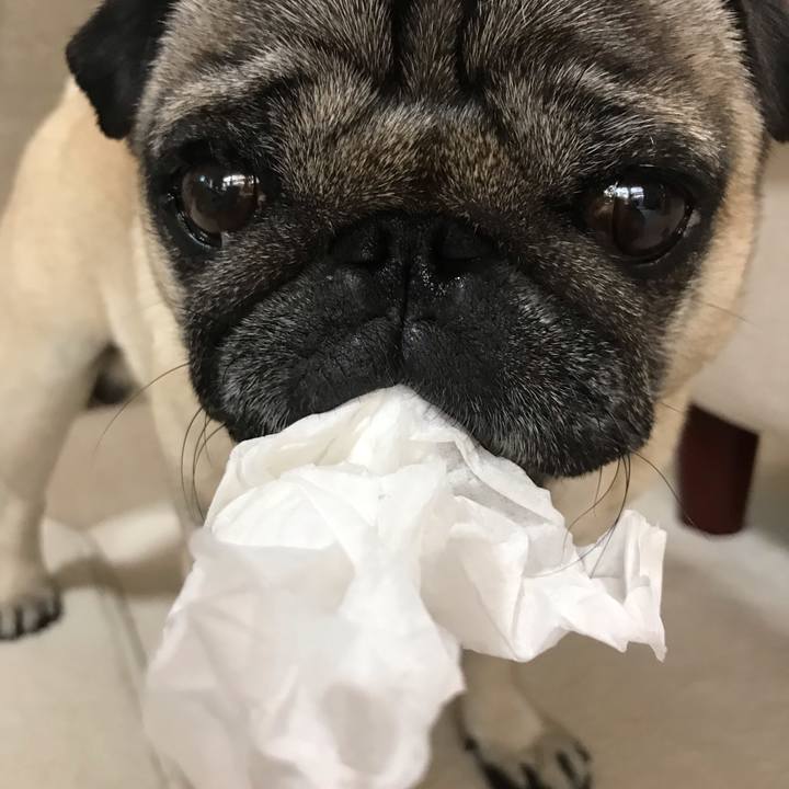 72338672 3ab8 4dea 8d66 12f456704f67 1588494687932