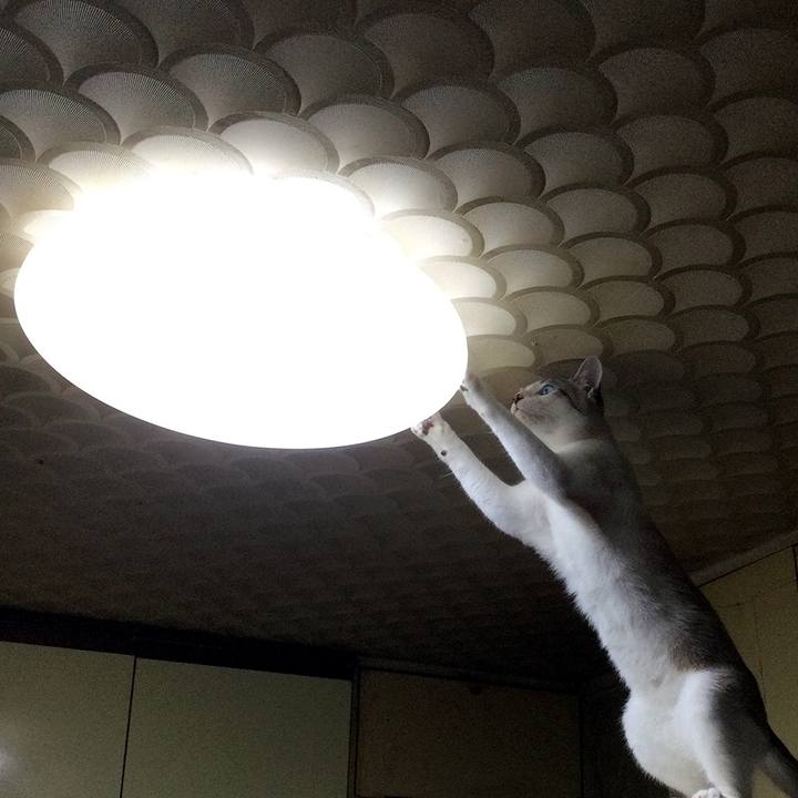 7233b49b 933d 414b 8f14 4f5096133215 1637711549621