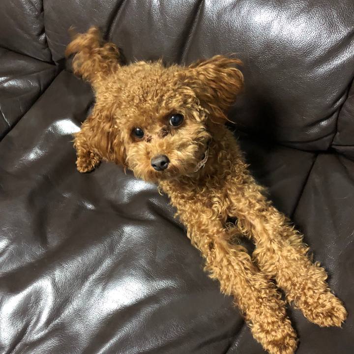 7233e49c c8c8 4a82 91a7 2db7755fe254 1510747277321