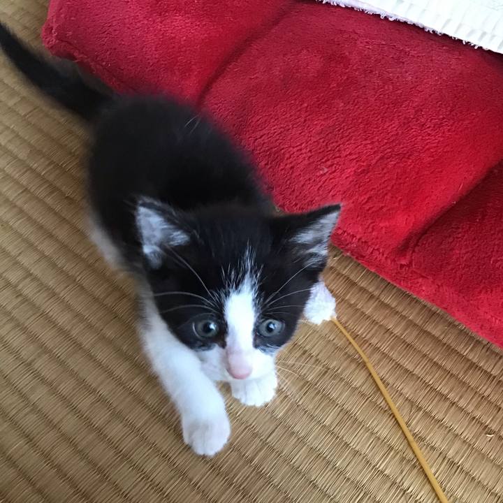 72341d03 63e6 4af2 812d 3fe8f86b6641 1623051923992