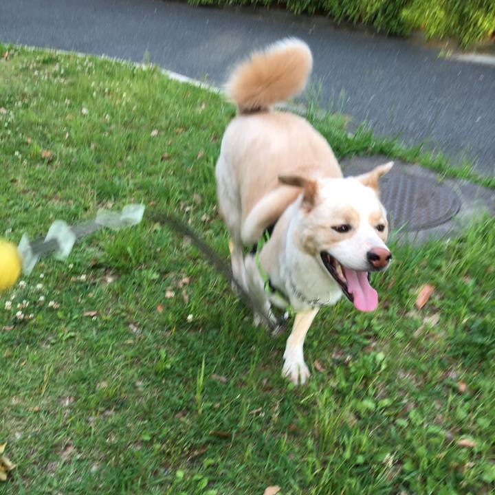 72342b66 5a39 4f97 b70d dc122a443c76 1527331641750