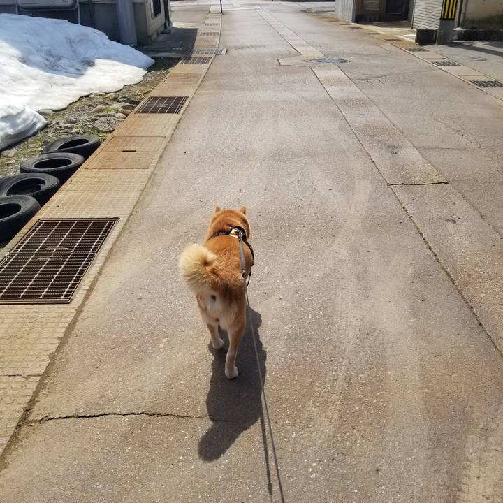 72346b07 e197 4648 9e74 3a5b5f0370ad 1742700064379