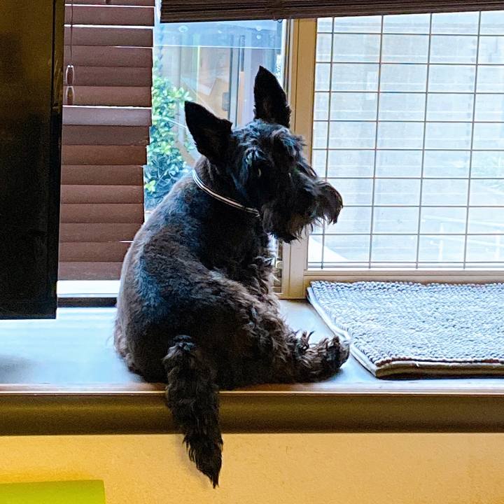 7234709c 7c82 4816 865a d95a8faca312 1610289956712