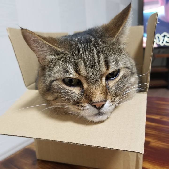 723471a9 d7a3 47b5 8f19 6cddabacce3a 1621335357023