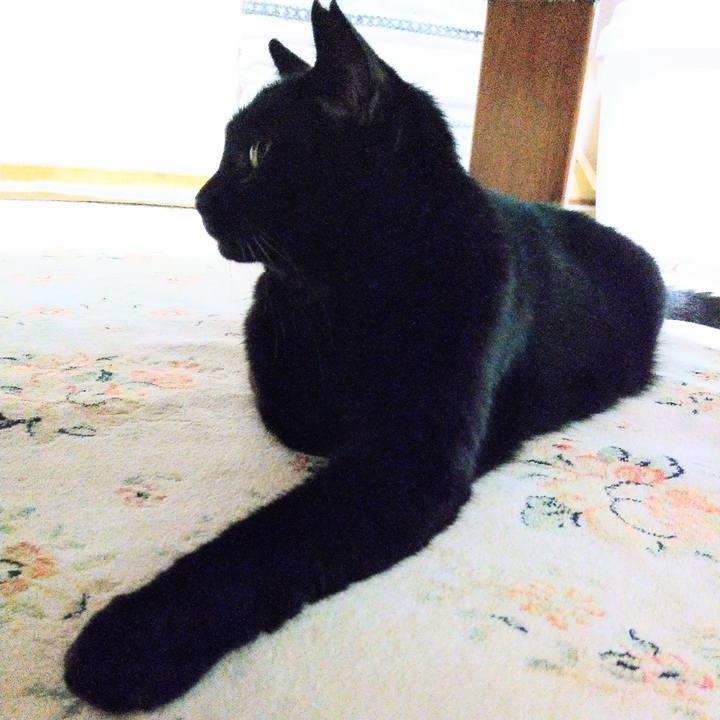 72347828 1a5f 44de b9f5 b89033716a0d 1629008240763