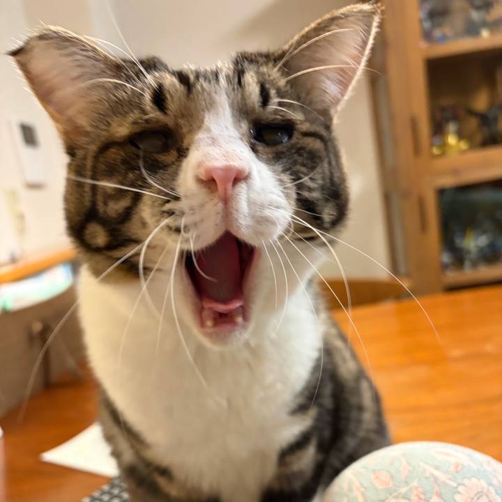 7234b266 3126 4727 81d7 f58d30712587 1765889659057