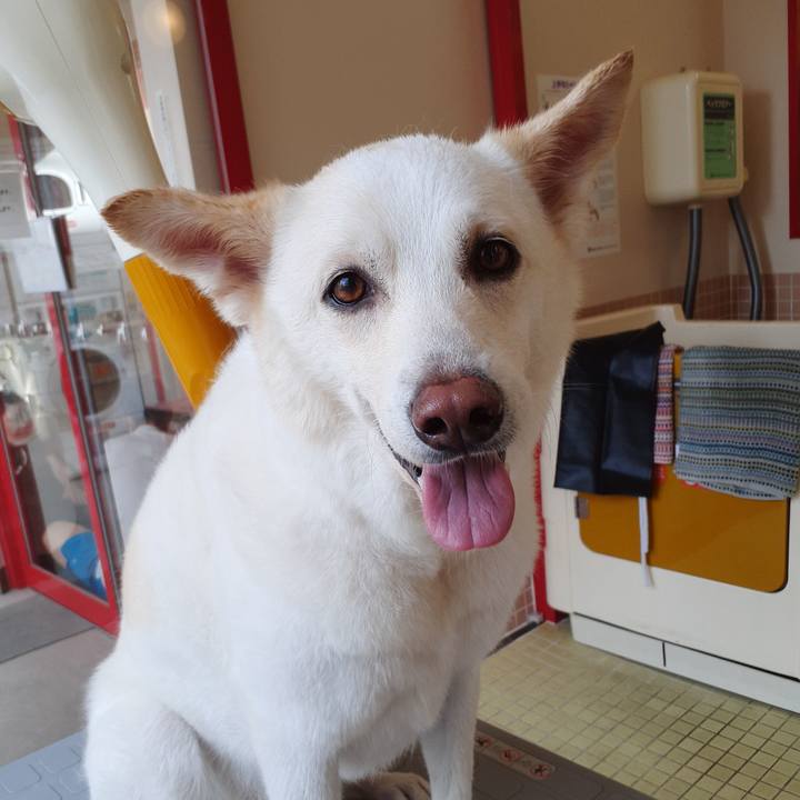 7234ccb2 d8ec 41b2 be96 1a0f4e64b093 1658059852169