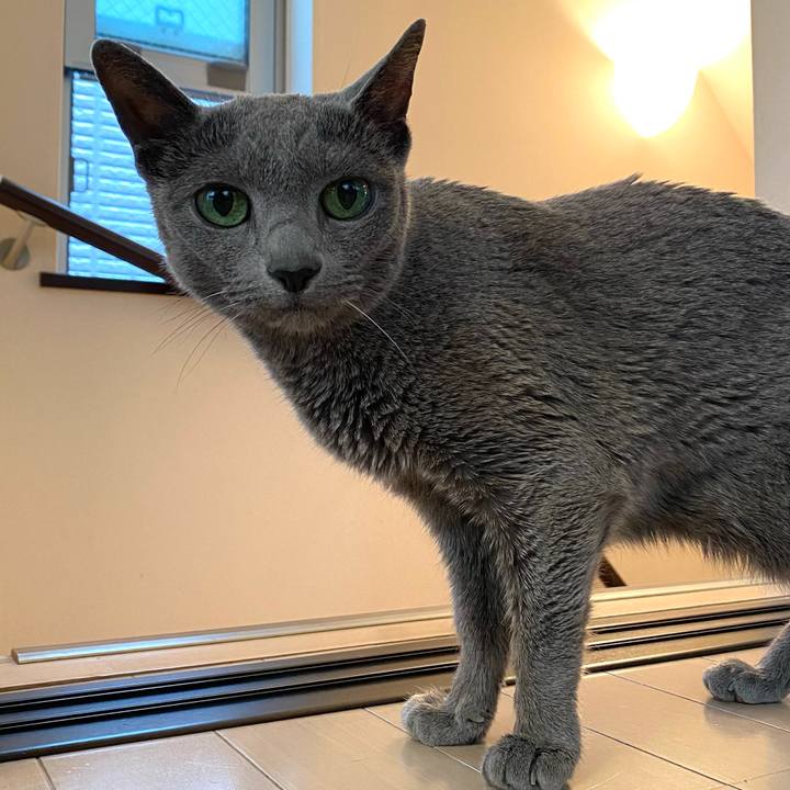 7234d756 db1f 47a8 ac1f 9f84e1c866c5 1621721884937