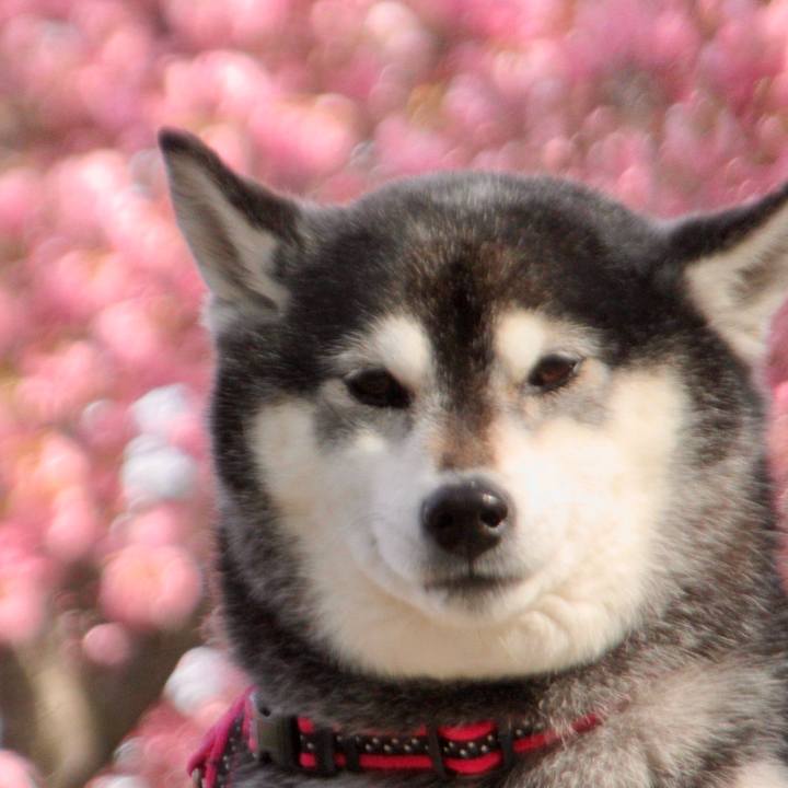 7234f0cb c1d9 4499 9f2a 649872393e8b 1713913330895