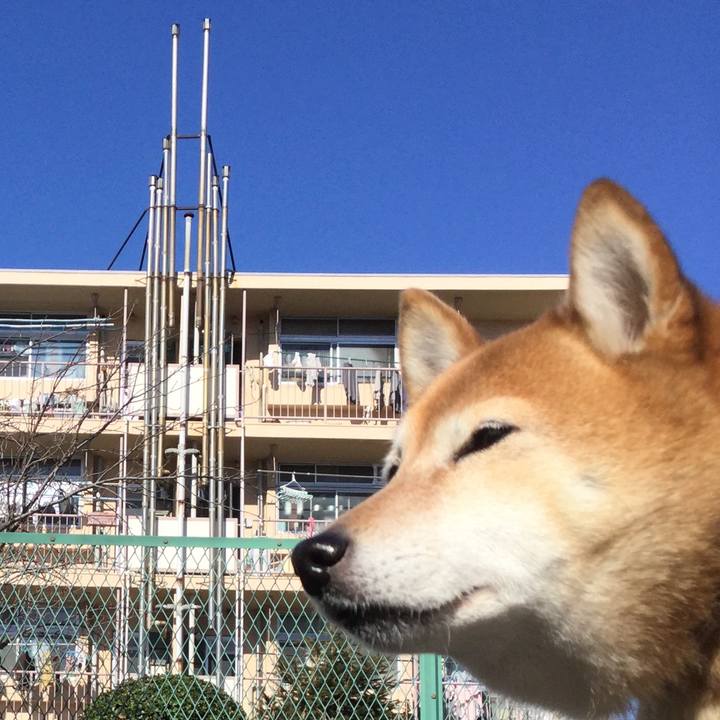 72353b30 5ead 4bf0 822c 9009243cfdf3 1612062764729