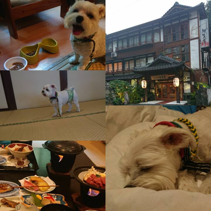 72354736 eccd 412e ac34 6f6947178315 1565007460701