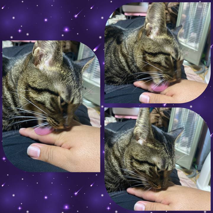 72357272 30d9 4f3a 891e 3d5864fad406 1575617436488