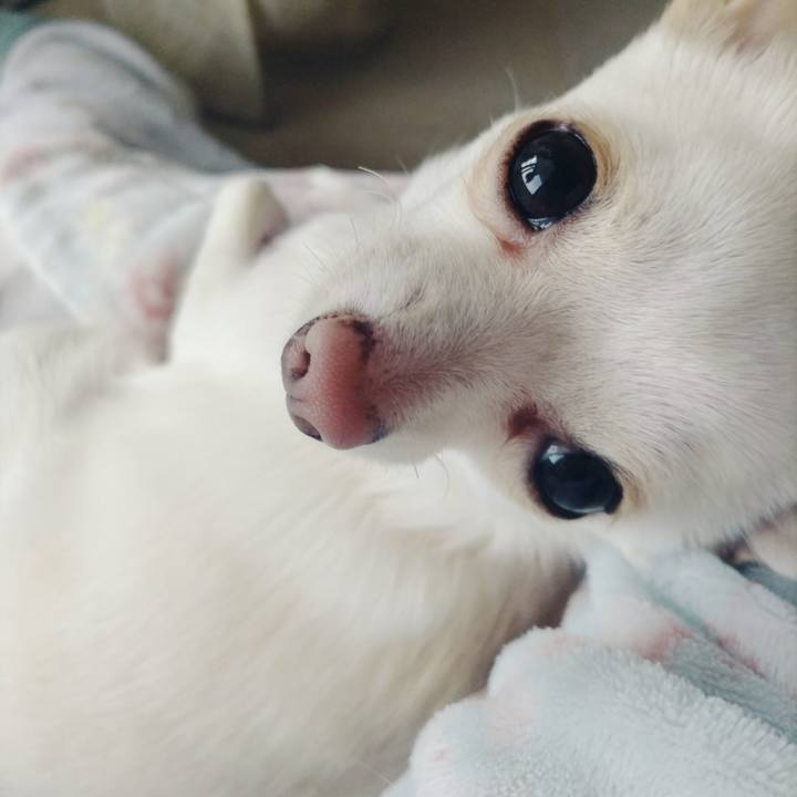 723575f8 08f6 4865 8edb 25c40d0bb36f 1711958907655