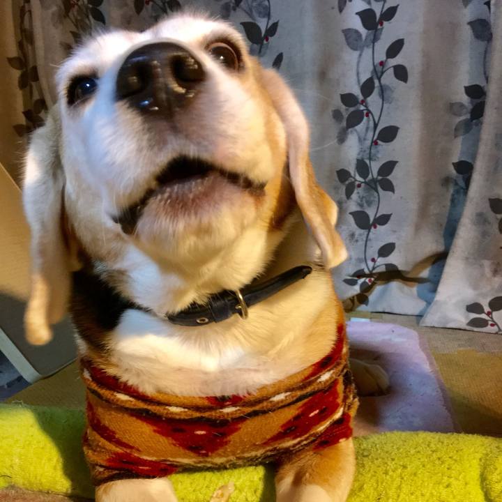 7235c826 5d8f 4b5b ba81 82c2915ad427 1736036604484