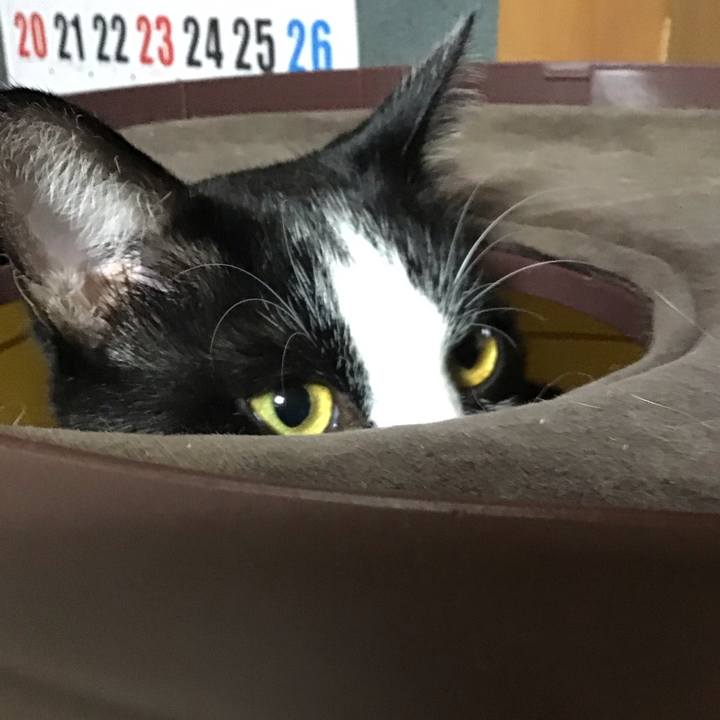 72360eaa 98d2 41c0 99a7 1beb131dee2e 1667304647316