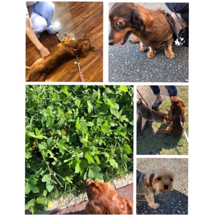 72365b95 93d5 4f26 9e63 f8b43d689b69 1568464297456