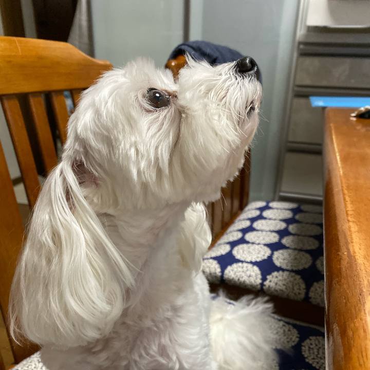 72366e09 243a 4693 9009 8c6a8f0c599e 1571223443807