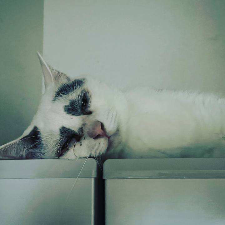 7236cdf3 87ed 4cc0 81a9 581117bd3c8b 1660315303295