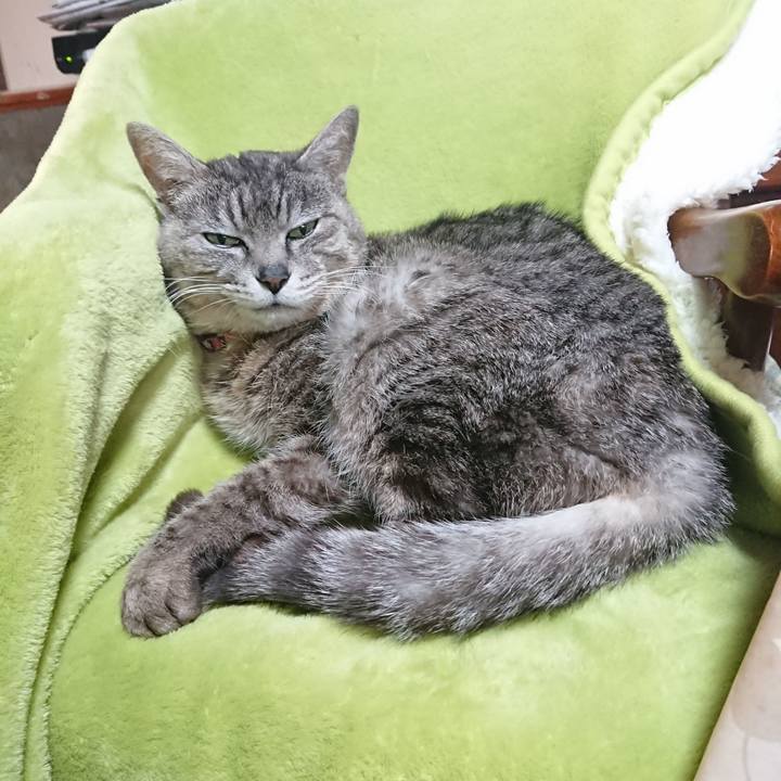 7236e390 b2f5 40d3 a6a0 cf2533f4826d 1588888670813