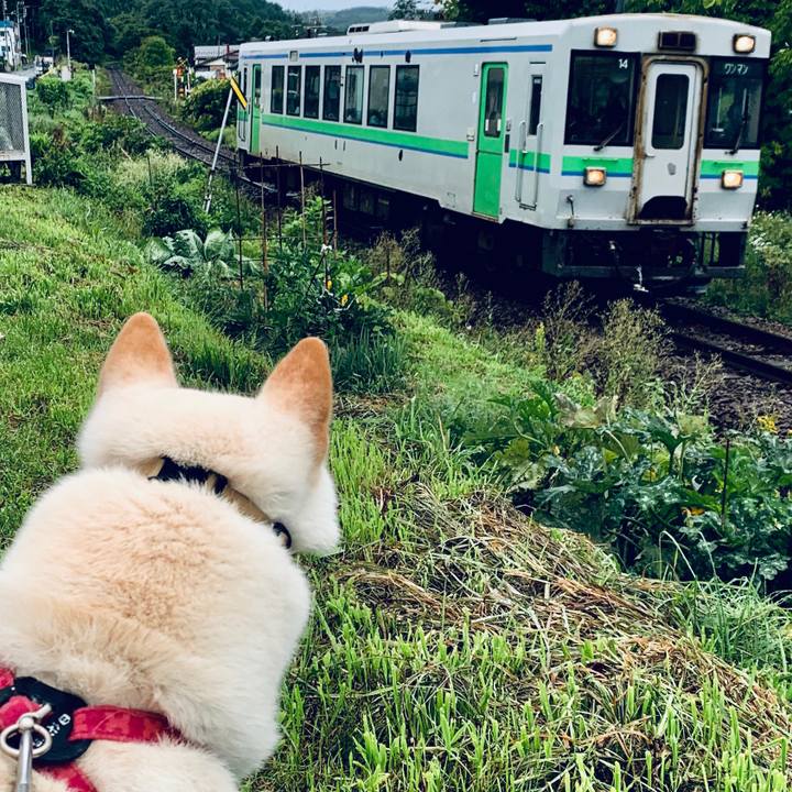 72373752 00fa 4311 b8f3 f220b68a2453 1567029848360