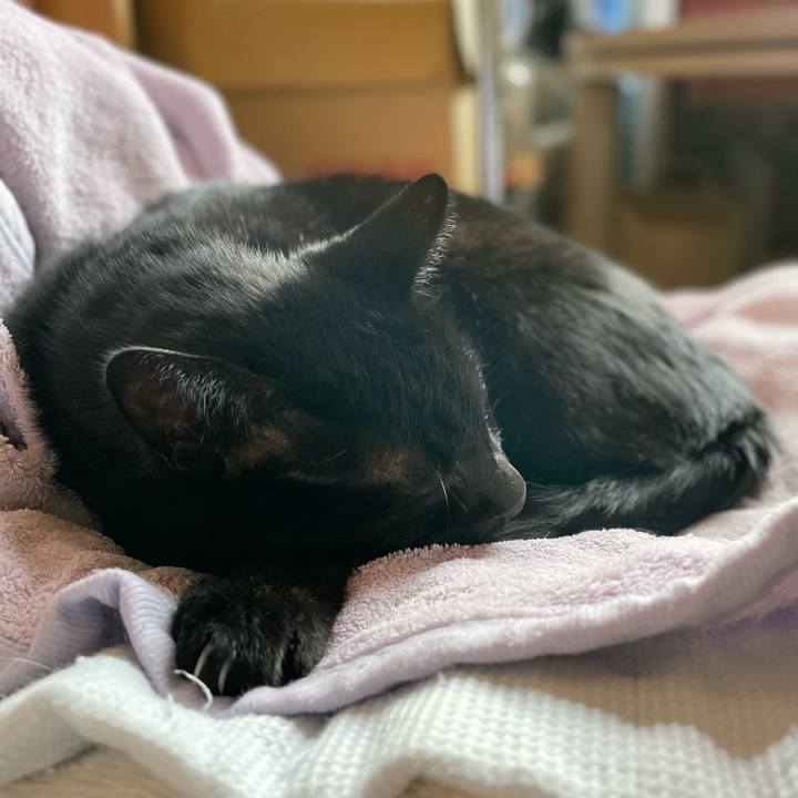 72374896 89da 4137 a94c dccf647b7389 1636679761795