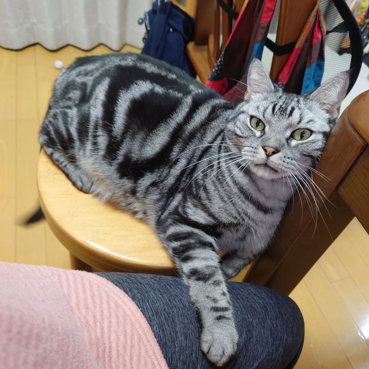 72374c6b c8e9 4438 ab3e caf6d1f8586b 1668603167619